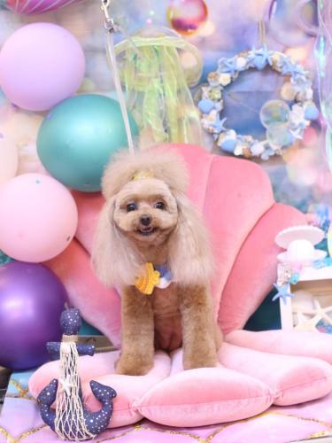 20240807麦ちゃん